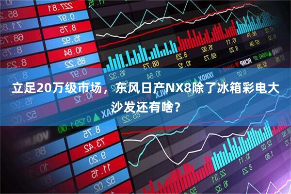 立足20万级市场，东风日产NX8除了冰箱彩电大沙发还有啥？