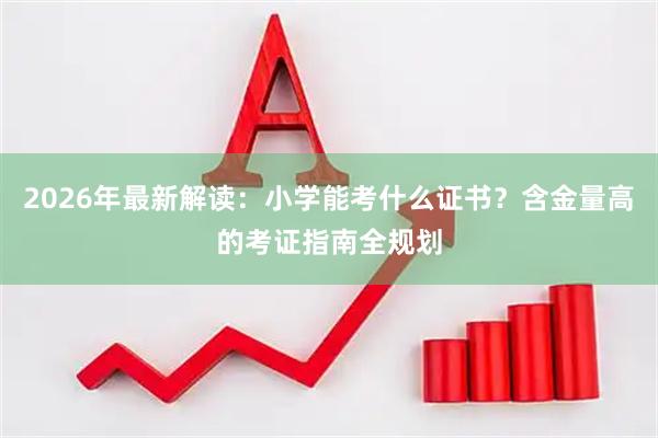 2026年最新解读：小学能考什么证书？含金量高的考证指南全规划