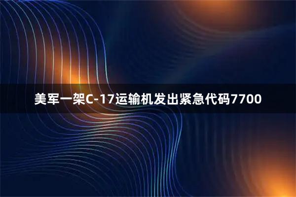 美军一架C-17运输机发出紧急代码7700
