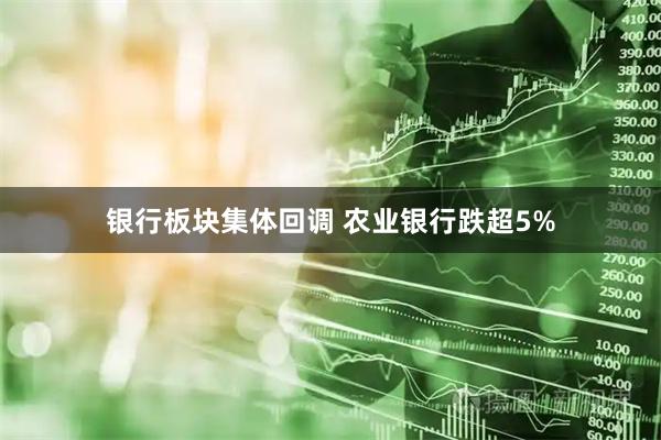 银行板块集体回调 农业银行跌超5%